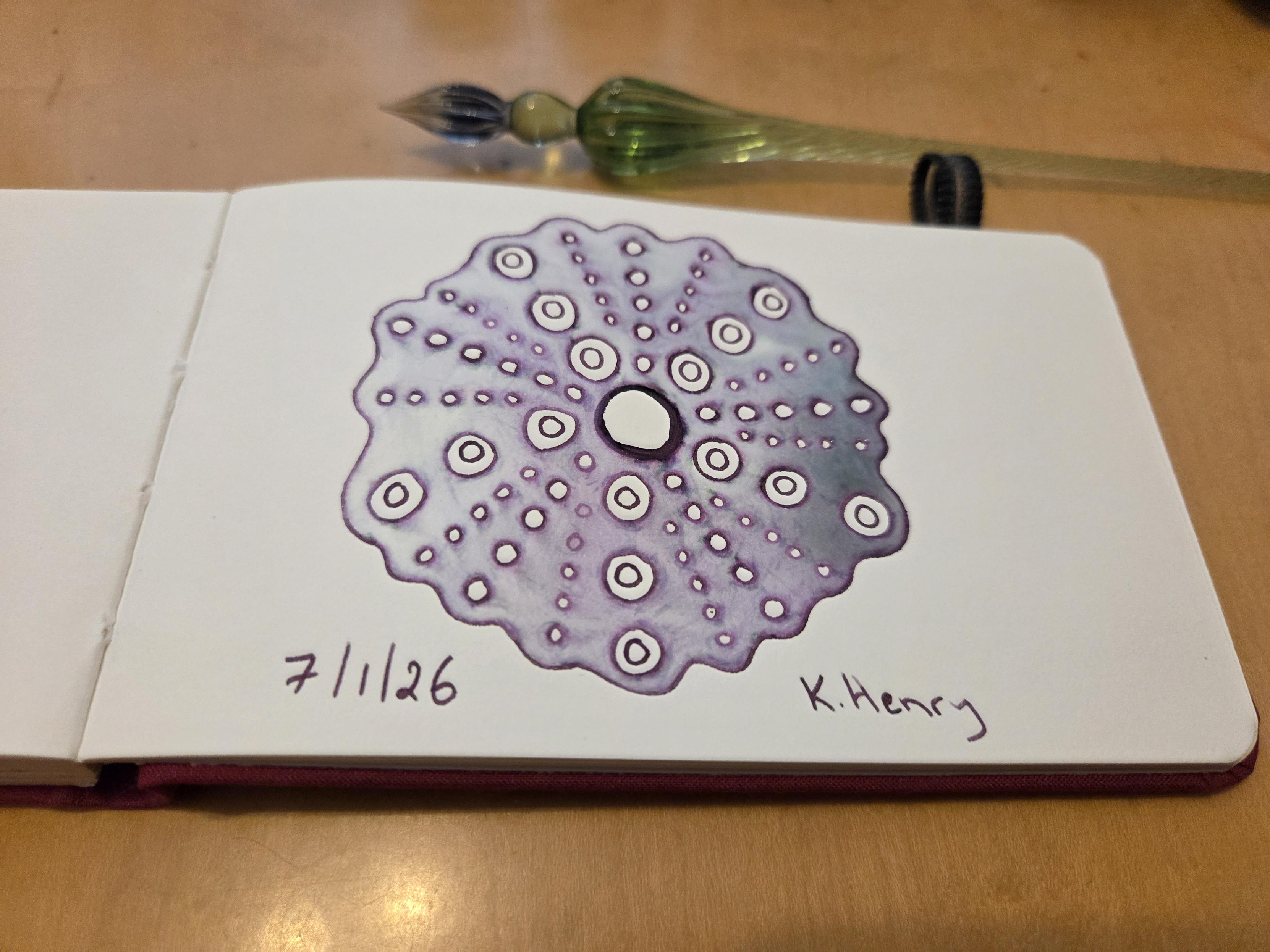 Hand drawn generative/procedural art in ink on an open page of my sketchbook. The abstract pattern is inspired by sea urchins. My glass dipping pen is next to my sketchbook.