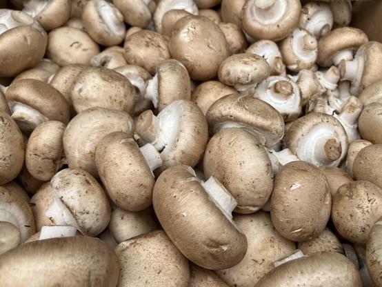 A big pile of good-looking button mushrooms.