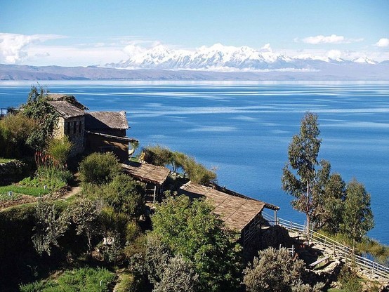 Vue aérienne du lac Titicaca sous un ciel bleu clair. Au premier plan, une pente herbeuse avec une construction traditionnelle au toit de chaume et une clôture en bois. Une variété de plantes et de fleurs vertes ajoute de la couleur à la scène. Les eaux calmes du lac s’étendent vers l’horizon, rencontrant le ciel en une ligne lointaine. À l’arrière-plan, de majestueuses montagnes enneigées s’élèvent au-dessus du lac.
