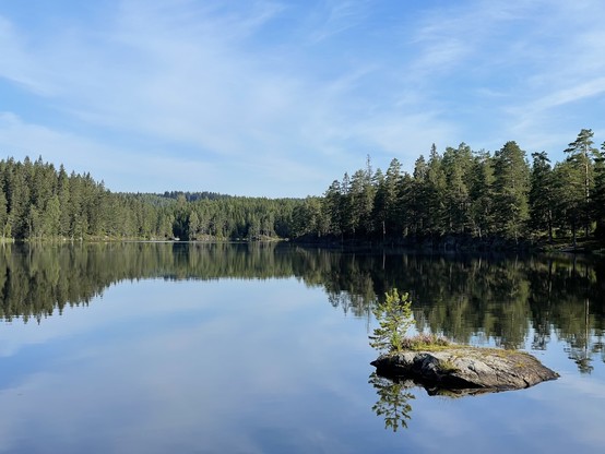 A landscape with a lake, forest and reflections in the water surface