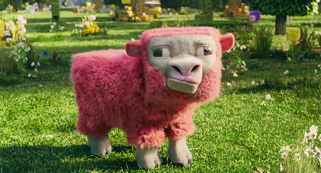 A pink sheep from the 