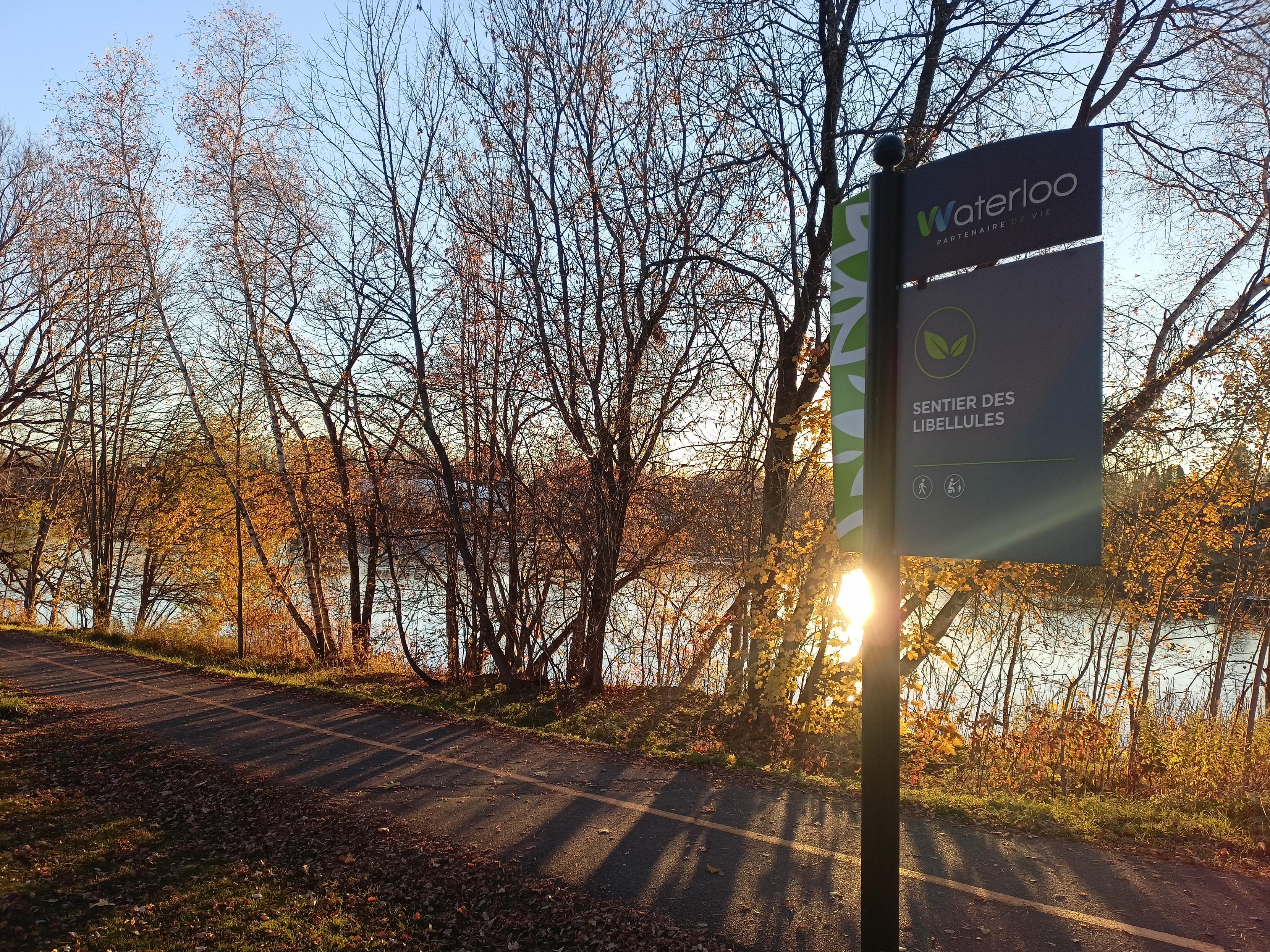 Panneau indiquant Waterloo, Sentier des libellules, devant le lac