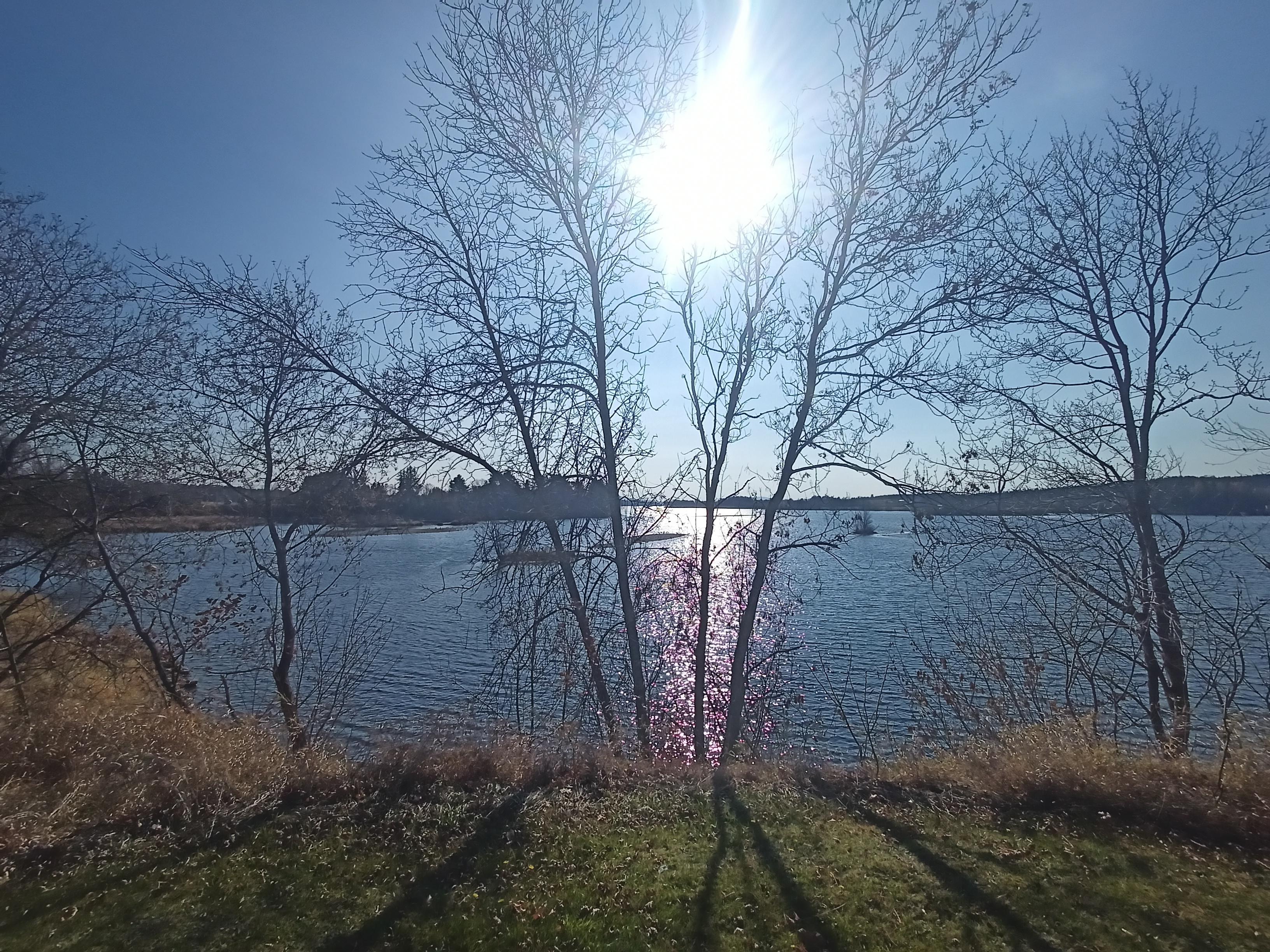 Arbres en bord de lac, soleil face à nous, symétrie paisible, Disraeli.