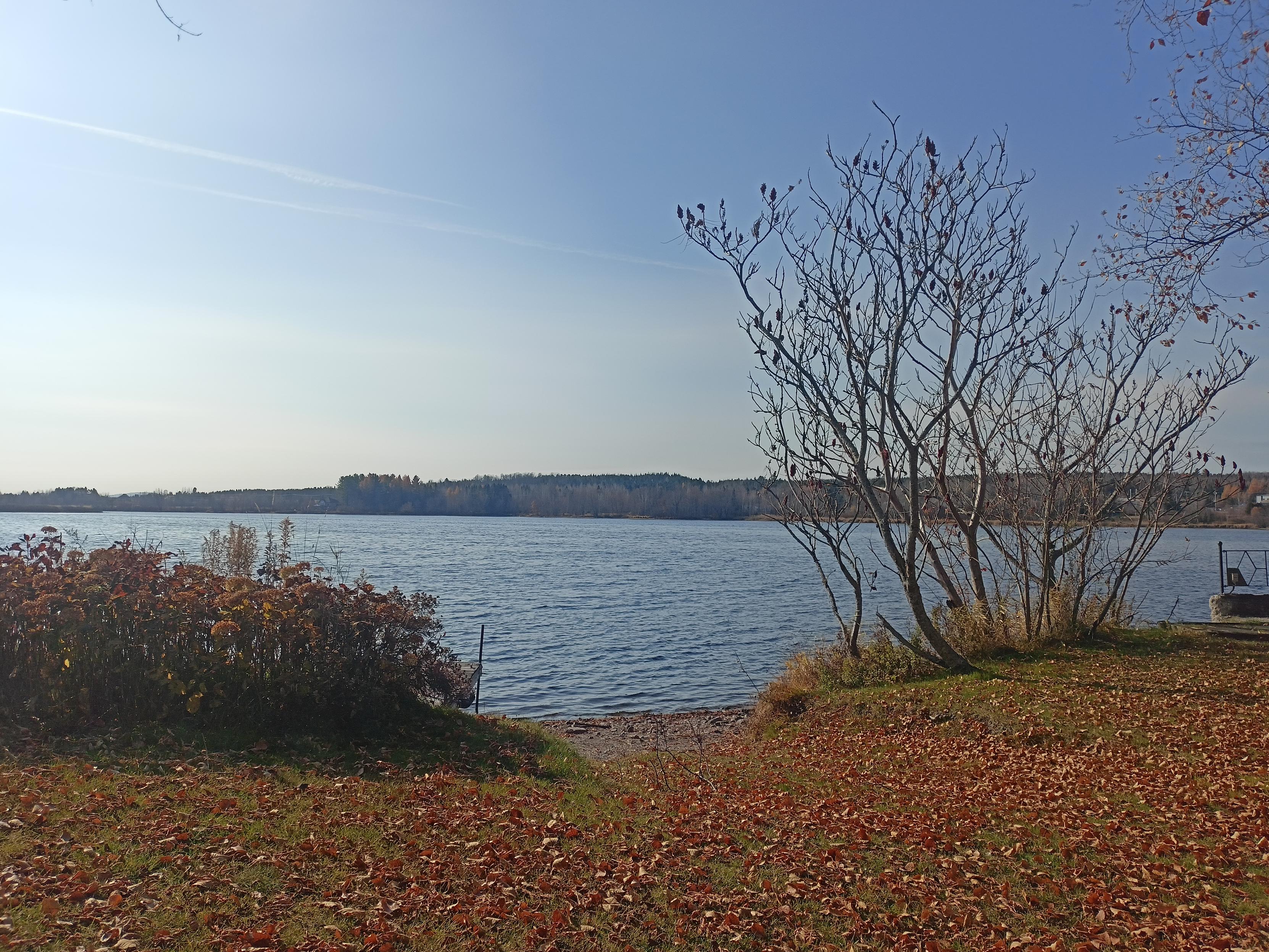 Autumn leaves and small waves, peaceful sun and bluish sky.
