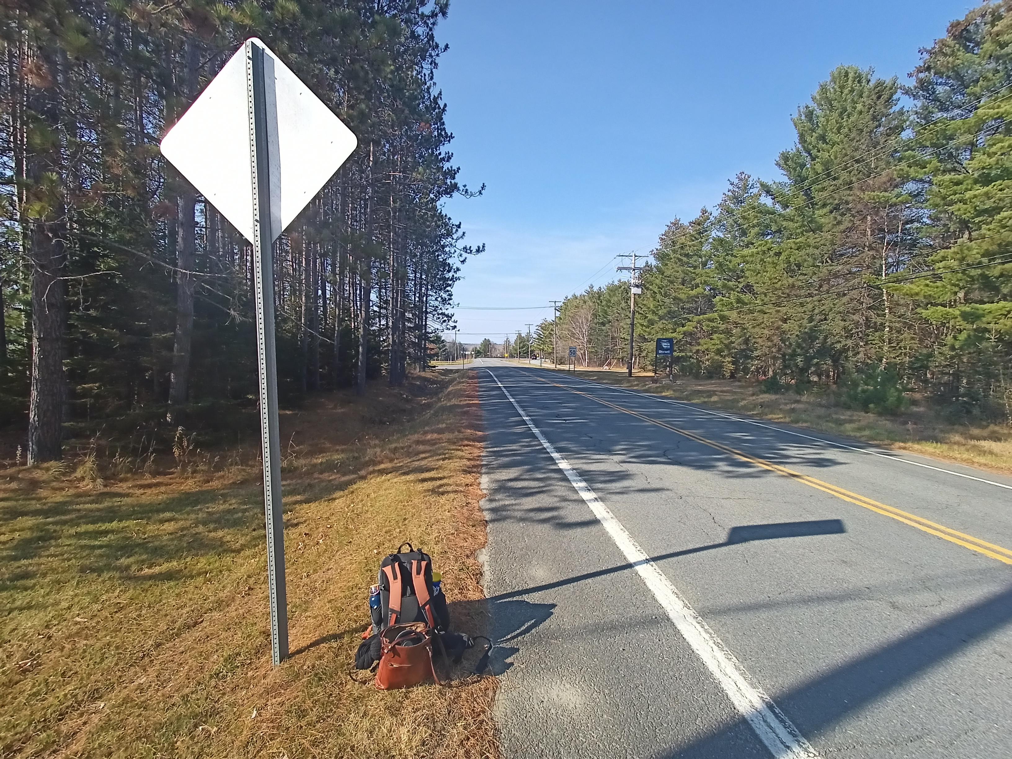 Bag matching the colours of the fall by an empty road in the forest.