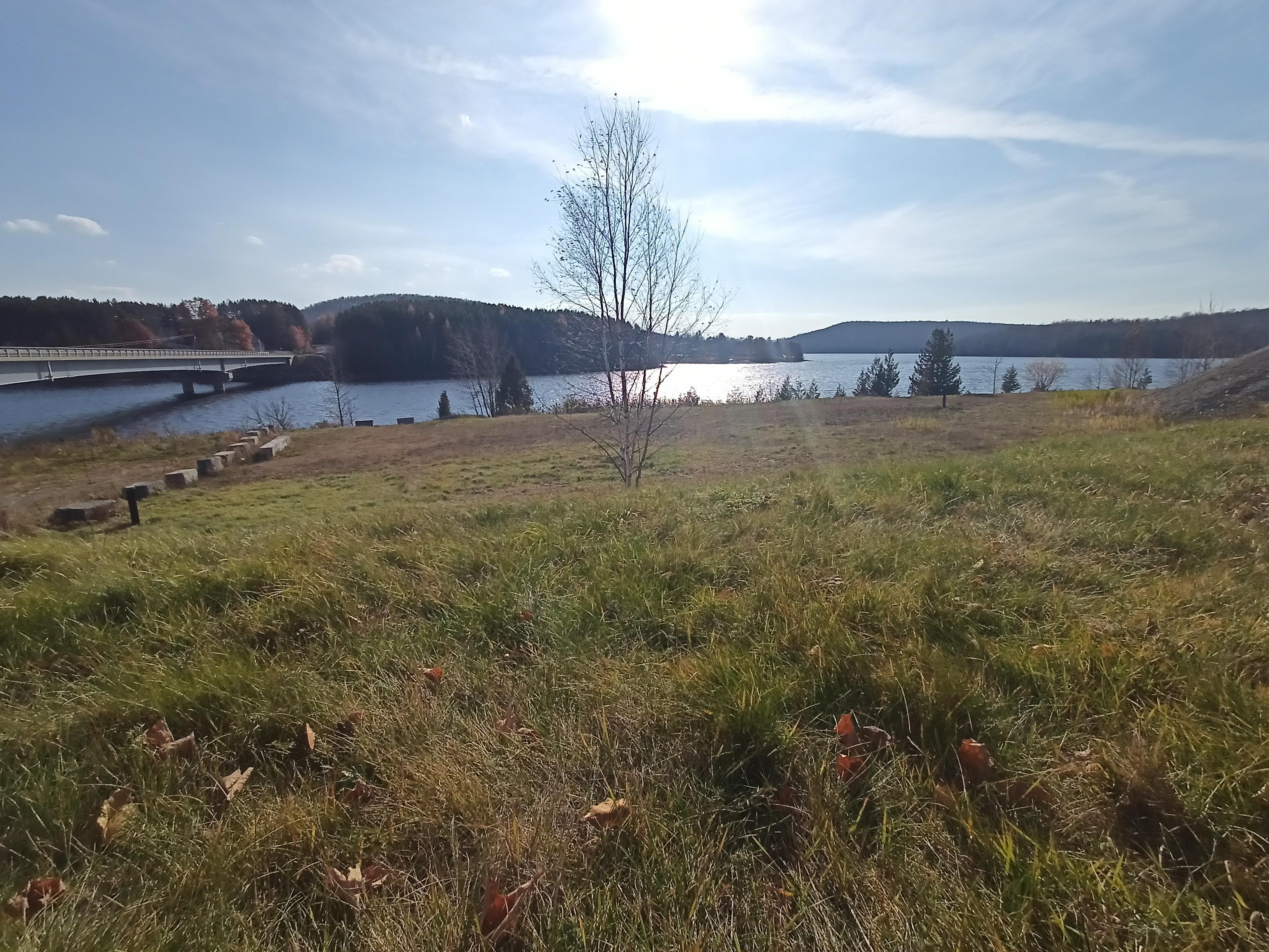 Sunny lake, with one bridge, but many trees.