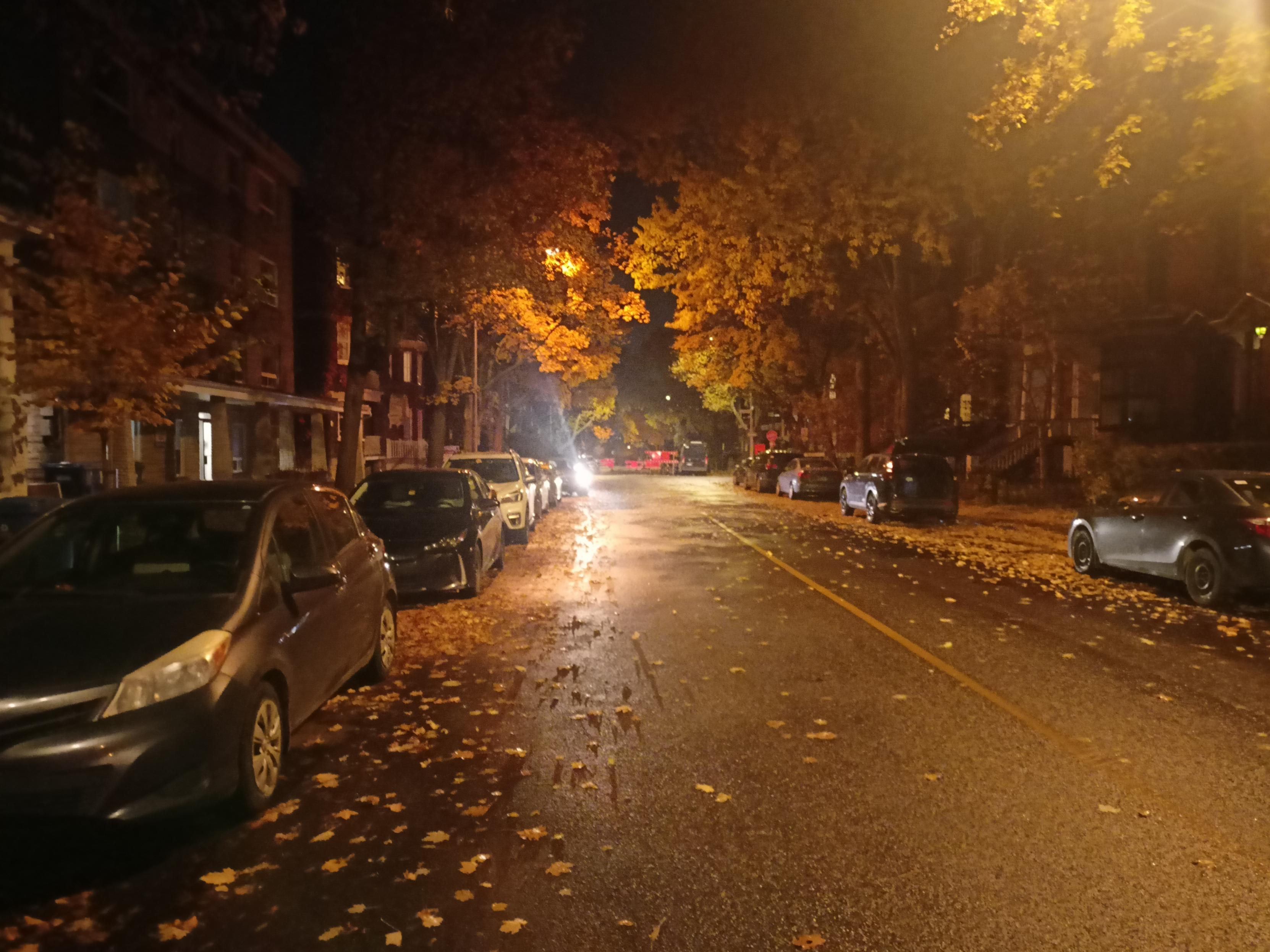 Street with magnificent fall colours at night in Québec City