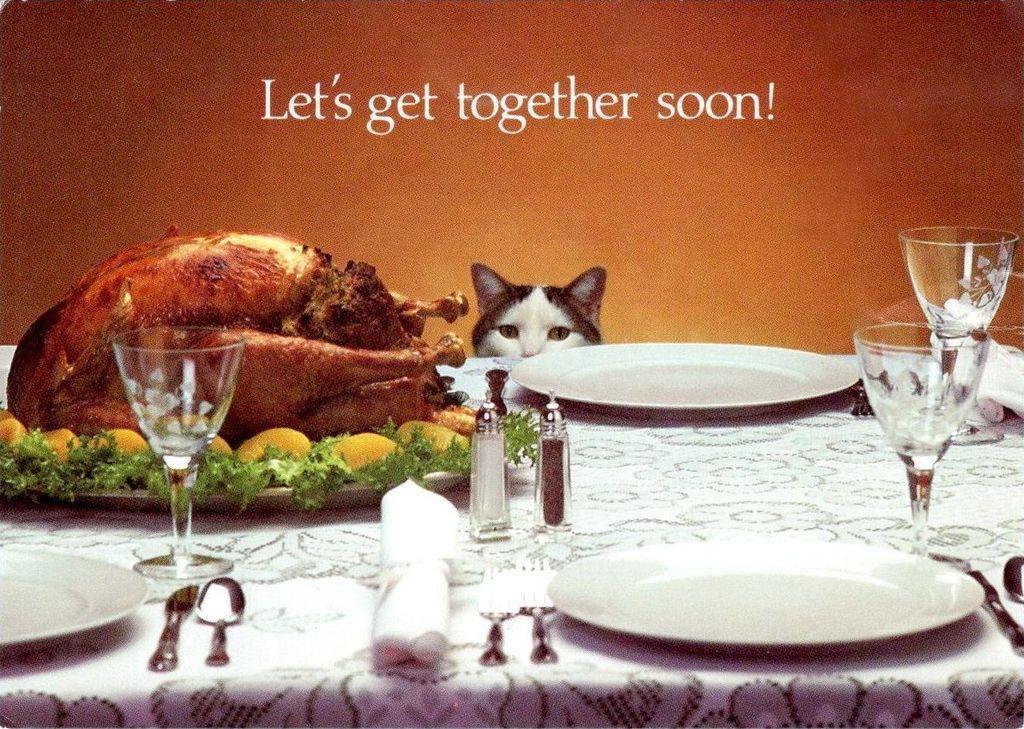 This humorous postcard shows a neatly set dinner table prepared for a festive meal, with a large roasted turkey placed prominently at the center. Crystal glasses, white plates, folded napkins, and polished silverware create a formal and inviting setting. Behind the turkey, a black-and-white cat peeks just above the table’s edge, its curious eyes fixed on the feast. Against a warm orange background, the caption “Let’s get together soon!” adds a friendly, lighthearted touch—suggesting both a holiday gathering and the cat’s mischievous anticipation. The result is a charming blend of humor, warmth, and seasonal hospitality.