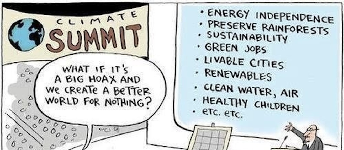 Veronicavd's profile header