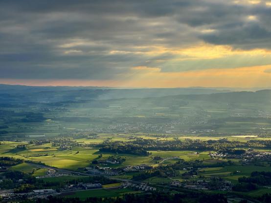 Sunrays in the evening