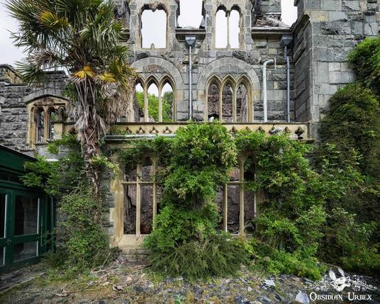 A ruined stone facade of a Victorian Gothic building is heavily overgrown with green plants and a large palm tree.