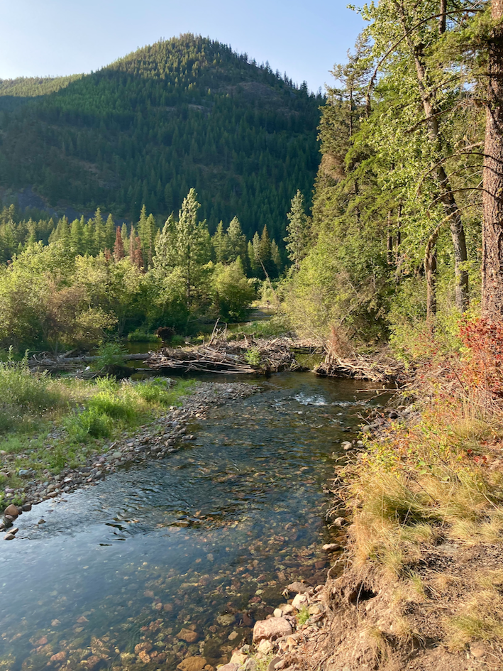 Rattlesnake Creek. In a peaceful setting, the creek gently turns a bend amidst lush grasses and light forest, a small, wooded mountain straight ahead, the sky clear.