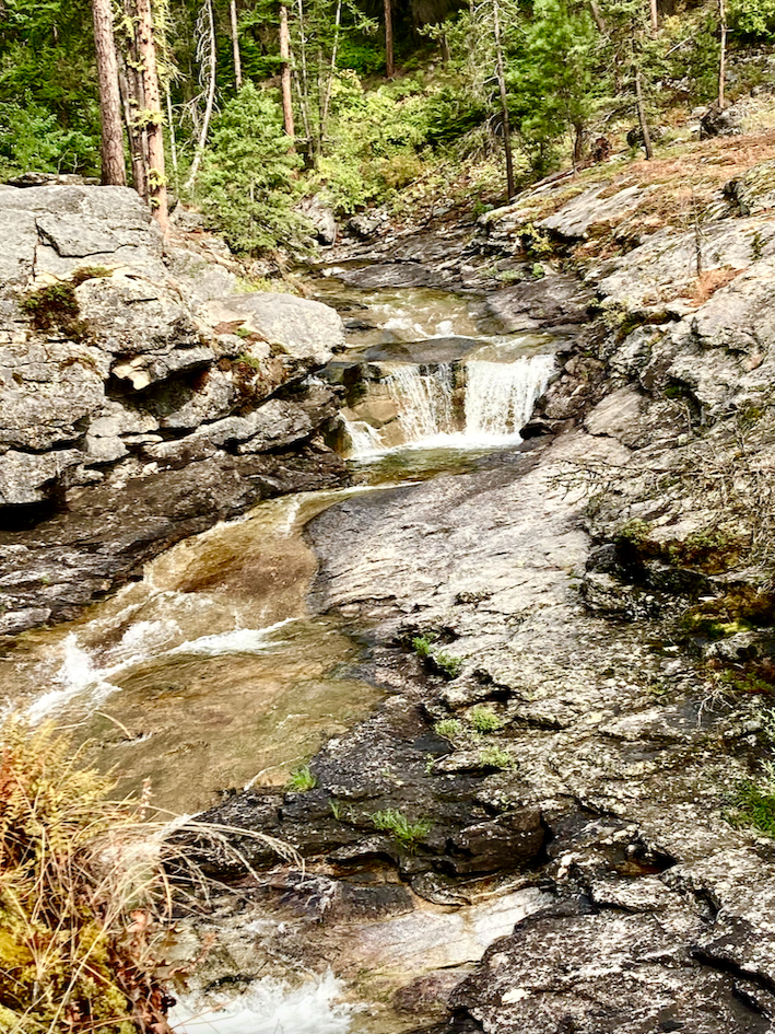 Bear Creek. The watercourse emerges from a conifer forest in a rocky gulch where it drops over a small waterfall and cuts across bare rock on its way down a canyon.