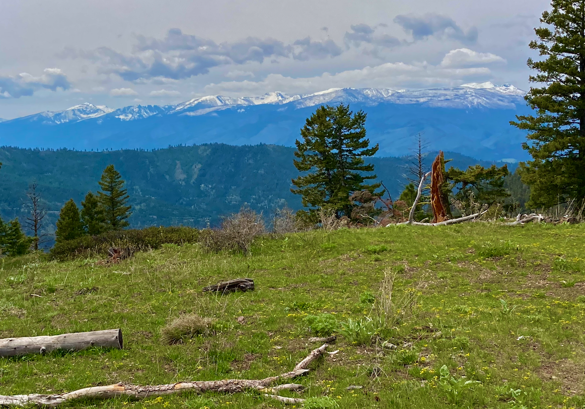 From a high ridge of green grass in spring where there's also deadwood lying about, the view looks over a deep valley and wooded ridge to where an extensive mountain range stretches seemingly forever, the peaks still crowned with snow. The sky is cloudy.
