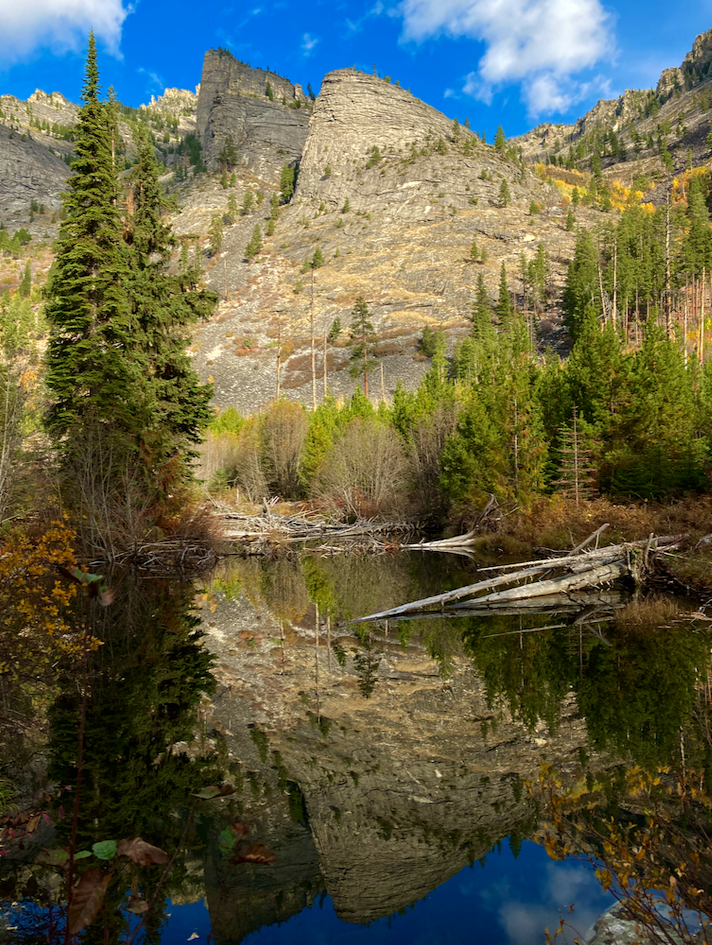 A beaver pond that's surrounded by brush, deadwood, and pine trees also reflects the stone spires in the background that reach towards the partly cloudy sky.