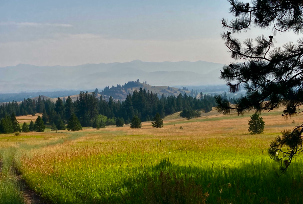 The view resembles The Shire as it looks down a grassy slope that transitions from deep green to gold as if by magic, a rocky hillock rising behind the trees at the base of the slope. In the background, and emerging from the haze, are mountains as if in a dream.