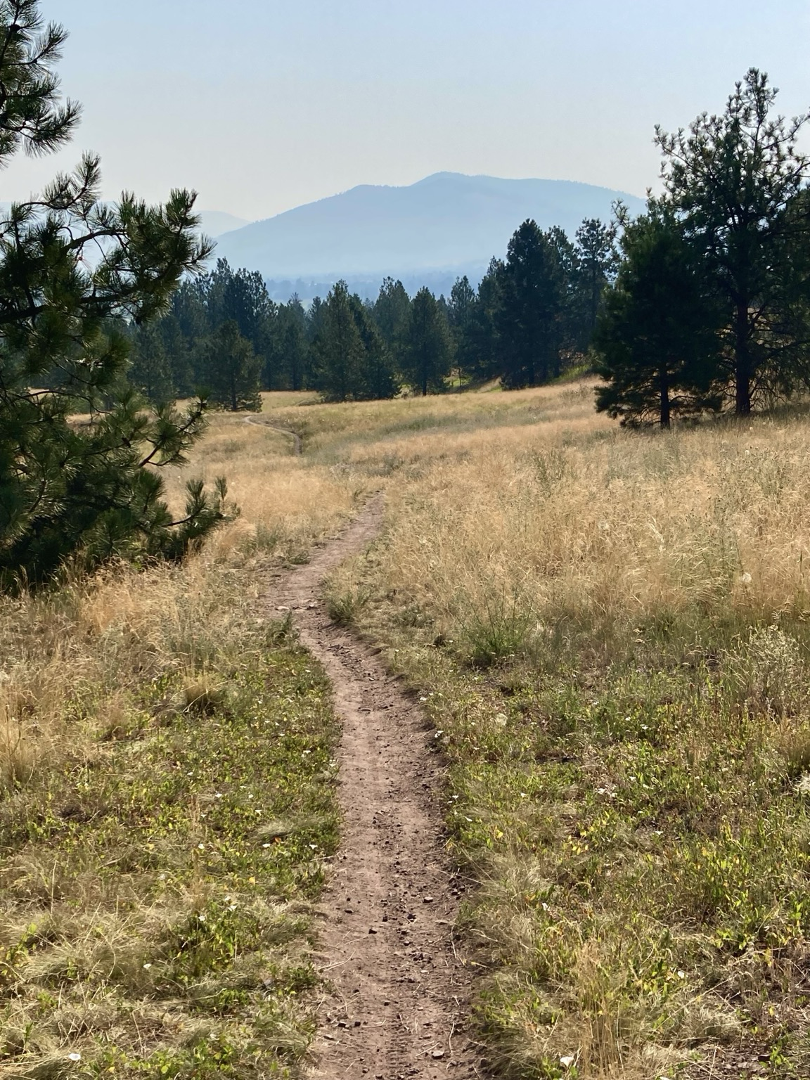 In a recent photo, a trail winds its way up a slope of golden grass, pine trees off to the side, a conifer forest ahead. In the distance, in the haze, is a single mountain, the air hazy thanks to wildfire smoke.