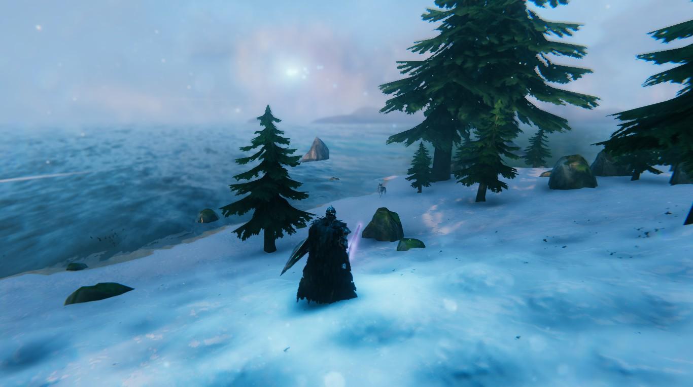 Screenshot from the game Valheim.

Char is standing in the snow, holding Mistwalker and the Carapace Shield. In the distance you can spy a wolf standing right at the beach. In the water is one of the typical steep rocks that you find in Mountain. There are also some fir trees and smaller rocks in the snow. Beyond the ocean, the sun reflects on some more Mistland mist.

This feels fundamentally wrong. The area is too flat for Mountain, and way too low in elevation. In fact, there is Black Forest nearby that is higher in elevation.

Or maybe it's just a weird glitch in world creation that my char stumbled upon.