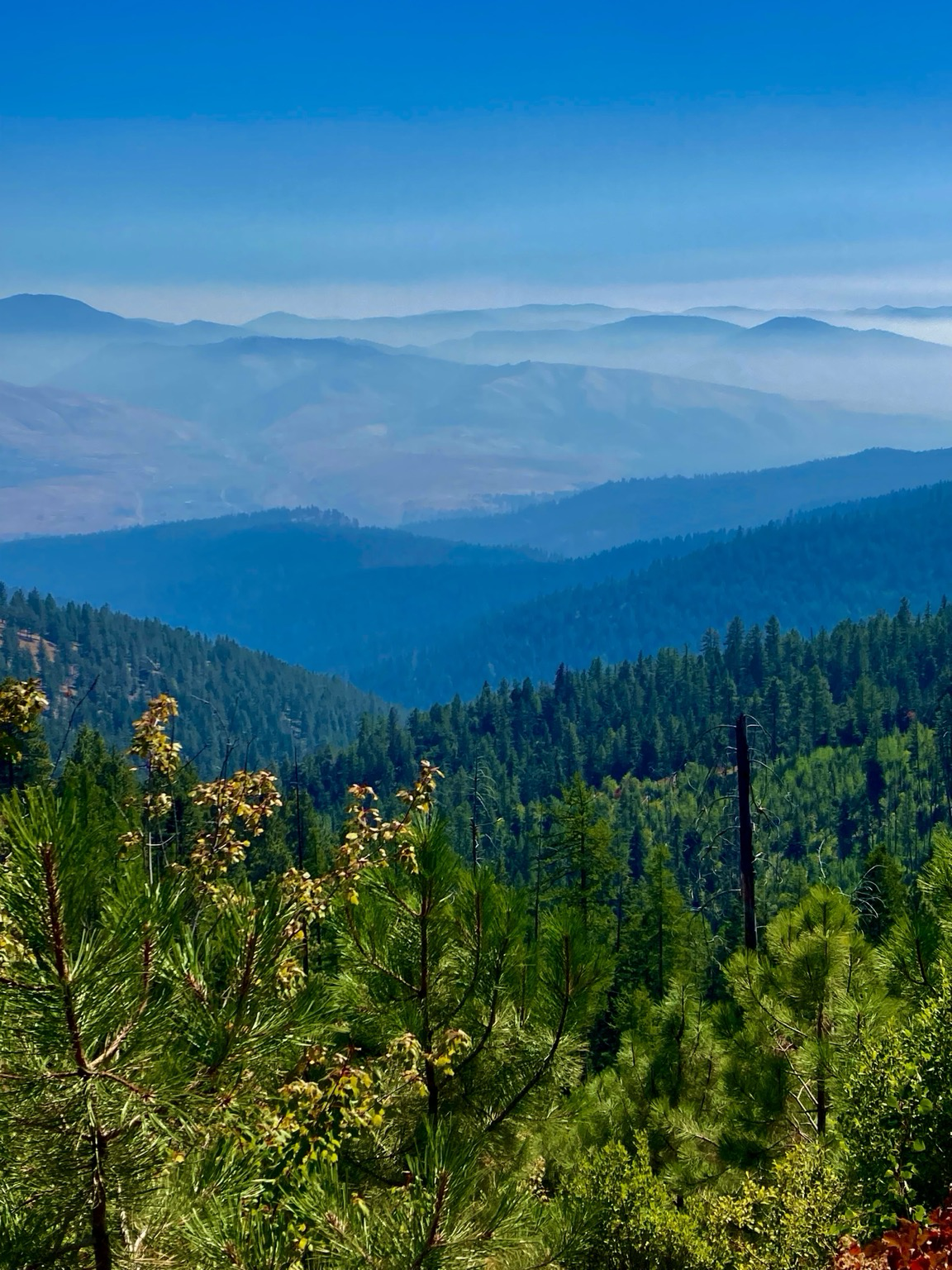 The view looks down a succession of deep green, wooded mountain shoulders to a valley cloaked in haze, the mountains stretching into the distance barely visible as they poke up out of the smoke. The sky above the smoke is clear.