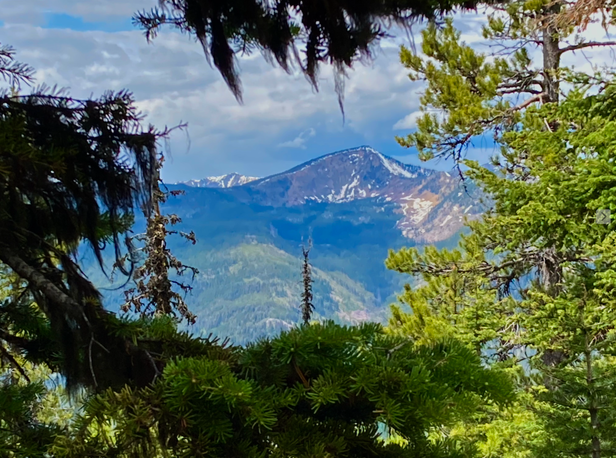 The view is through pine trees high in the mountains in summer. Across a broad valley is a mountain (Stuart Peak), the side of it sheared off, snowfields still present. The sky is mostly cloudy.