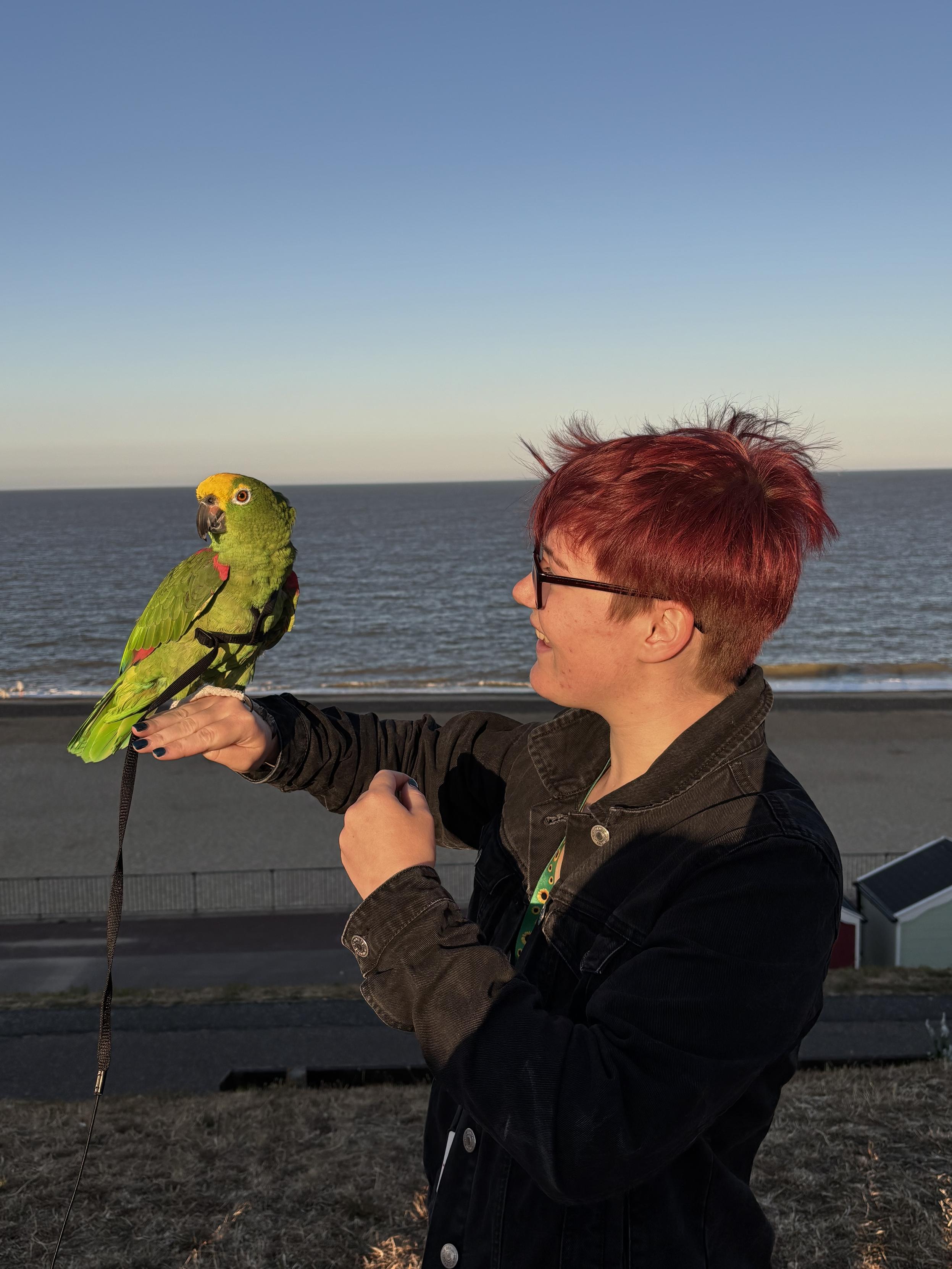 Jazz, a young autistic woman in my support group, stood on the top of cliffs on the Norfolk coast during the recent eclipse. On her outstretched hand is a green parrot which is looking away from her delighted face.