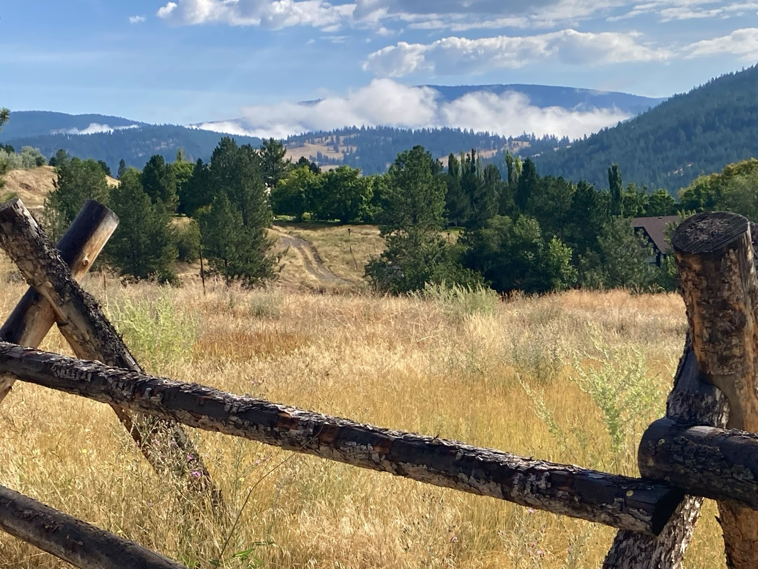Beyond a wooden fence is a field of golden grass, clusters of evergreens, and wooded mountains where clouds still cling, the sky partly cloudy.