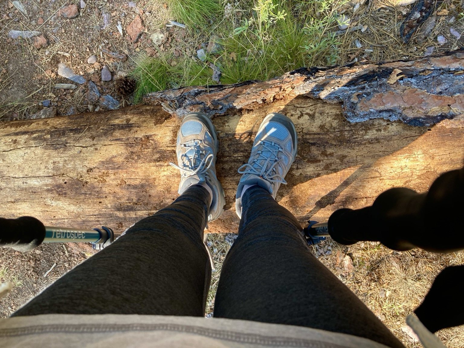 The view down a pair of legs wearing dark leggings to where gray and blue hiking shoes are atop a log. The trail is to either side of the log.