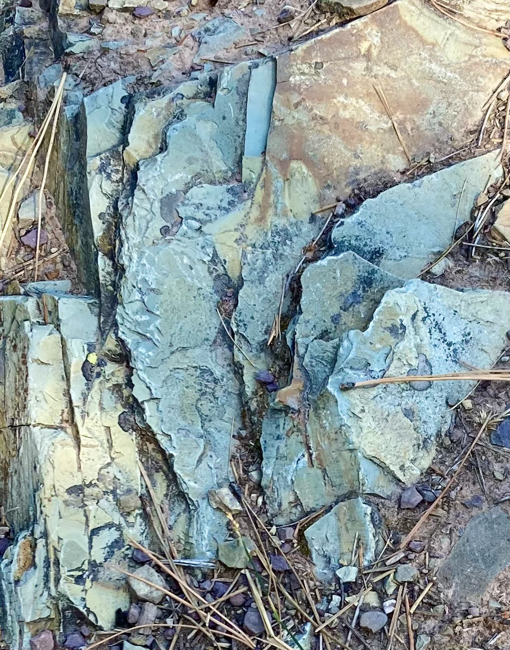 A closeup of shale on Blue Mountain showing stratified shale that’s a light blue, or even green.