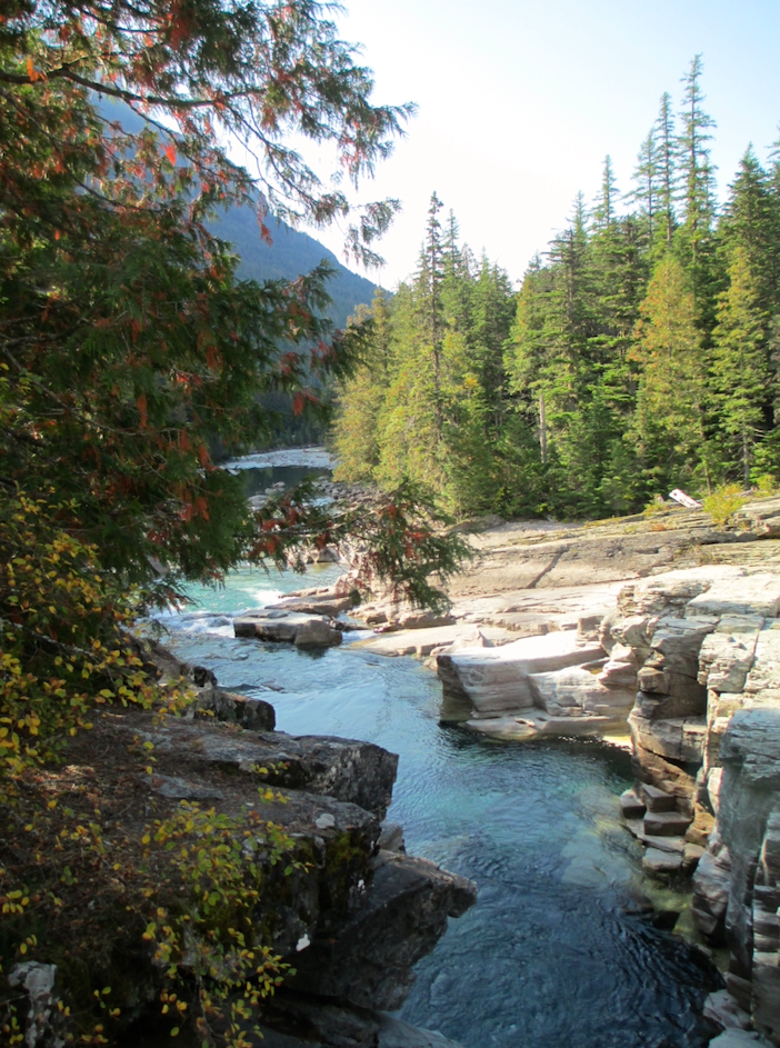 A view of a stream cutting through a defile, pine trees in the background on the right, a tree with changing leaves on the left, a mountain slope behind it. The sky is hazy.