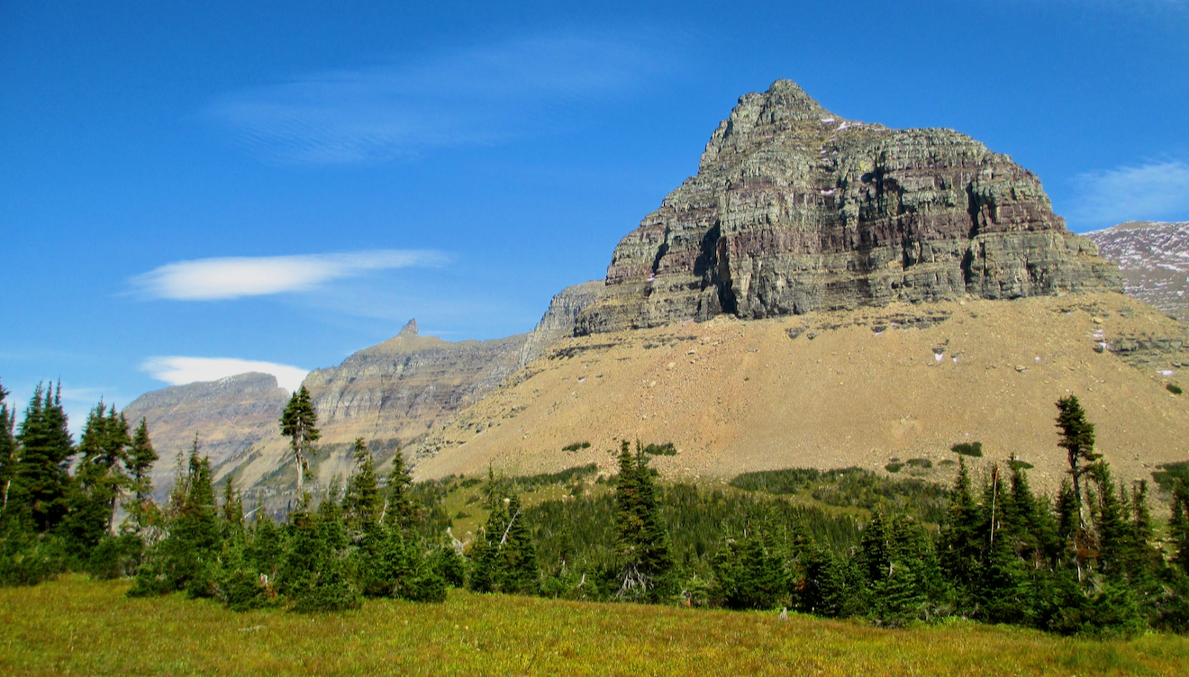 On the far side of a grassy field are a line of short pines. Beyond them, beneath a mostly clear sky, are a line of rocky peaks made up of sedentary rock, talus slopes around their bases. The layers in the peaks are obvious.