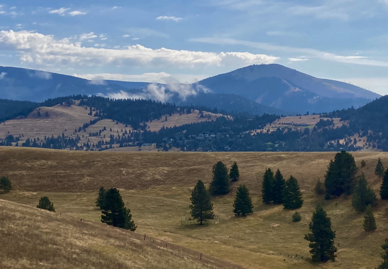 Dark gold grassland dotted with the occasional pine tree gives way to a ridge that alternates between grass and forest. Behind the ridge is a mountain, a wooded ridge extending from it to the left. The sky is partly cloudy.