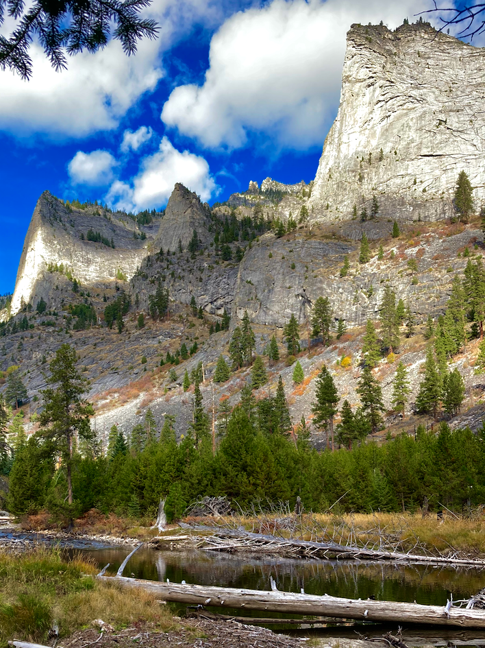 A beaver pond is surrounded by golden grass and deadwood, pine tree forest beyond that. From behind the forest rises a scree slope dotted with trees that becomes three pinnacles of rock beneath a partly cloudy sky.