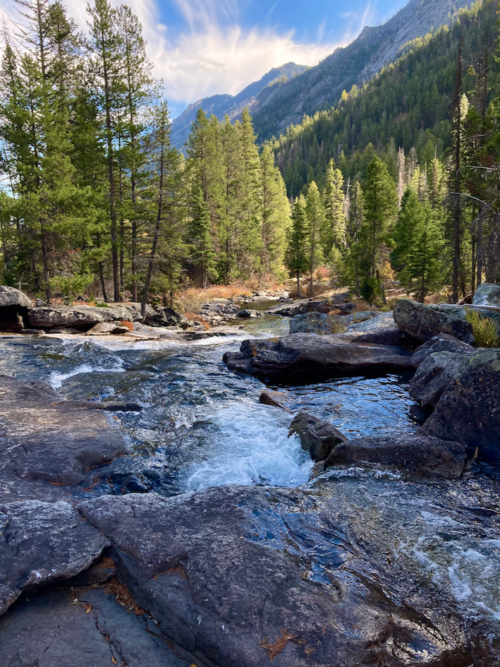 A stream cascades over rock and around boulders as it plummets into a canyon. There's evergreen forest all around, and wooded slopes that rise on the right. The sky is partly cloudy.