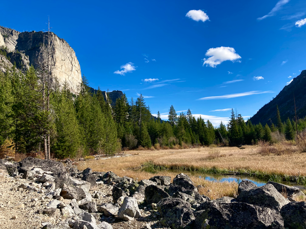 The scene looks out from a trail crossing scree that ends in a golden marsh where a stream is visible. A mountain's shoulder is visible to the right. From behind the trees on the left are rock walls. The sky is mostly clear.