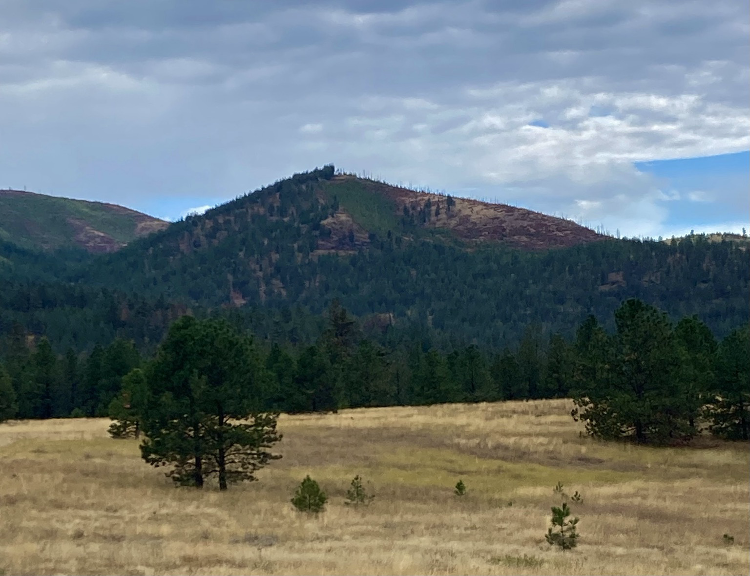 Across a vast field of golden grass, an almost pyramidal prominence rises out of the pine forest beneath a mostly cloudy sky.