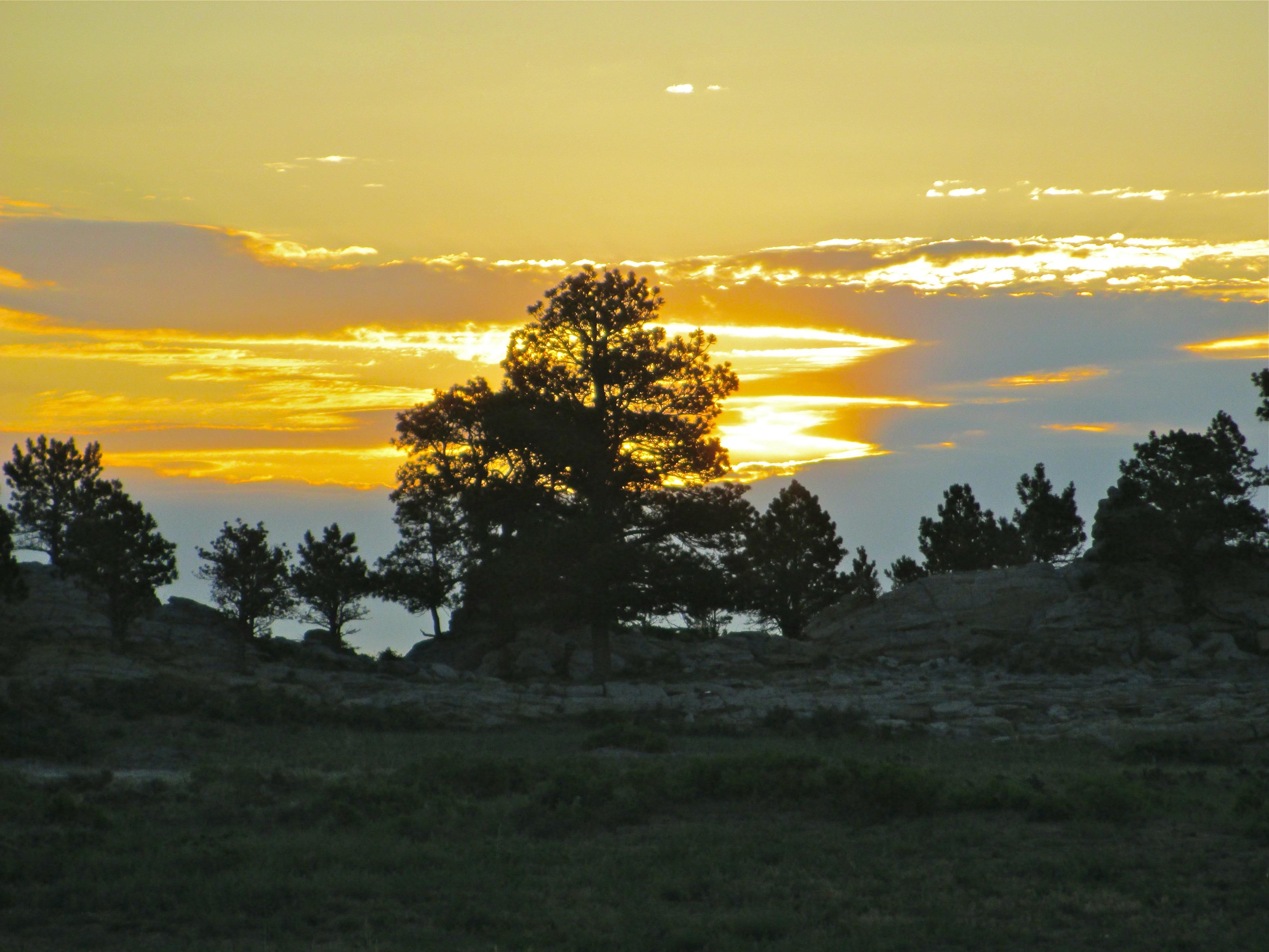 Trees growing atop a rocky ridge are silhouetted, the distant clouds hiding a low sun that has turned the sky a bright yellow.