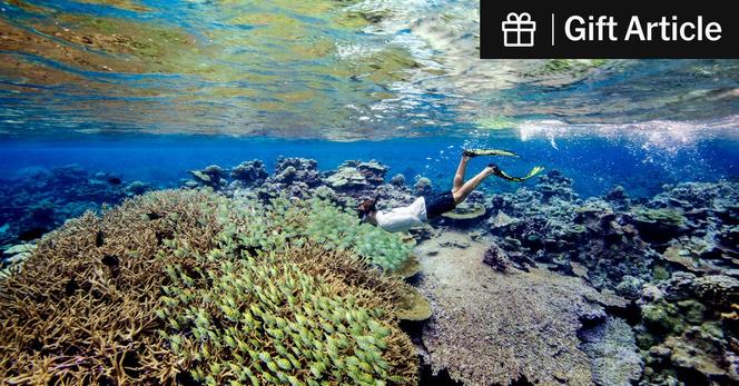 Palmyra Atoll National Wildlife Refuge, about halfway between Hawaii and American Samoa, part of a national monument. 