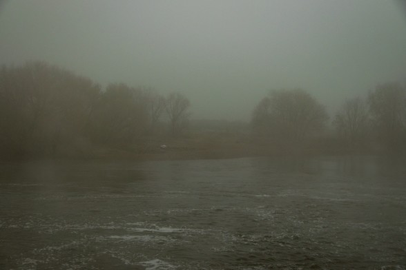 View of the river and silhouettes of trees on a foggy morning.
