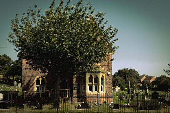 A tree standing in front of the cemetery lodge.