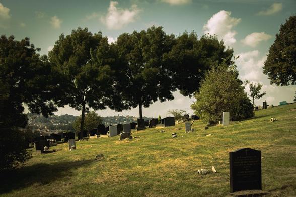 A cemetery scene with some gravestones scattered on the grassland and line of trees on the horizon.