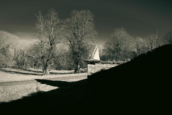 Trees in a field in bright sunlight. A derelict outhouse built in bricks is partially visible.  A strong shadow divides the images.