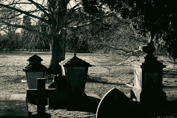 Gravestones in the shadows under a tree.