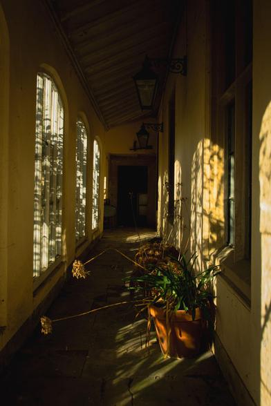 Corridor with a flowerpot, a play of sunlight and shadow.