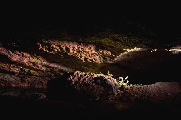 View inside the cave. Spotlights light up the rock formations.  On the ridge some vegetation is growing.