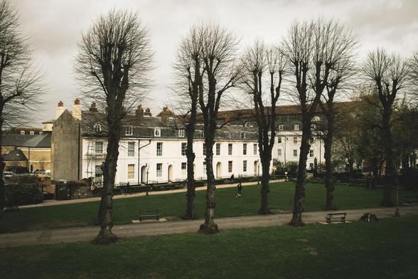 Photograph of Dane John Gardens: leafless trees line a footpath; behind are a row of white houses from a previous era; the sky is grey.