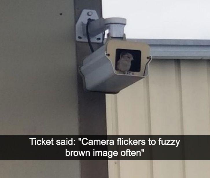 Posted media