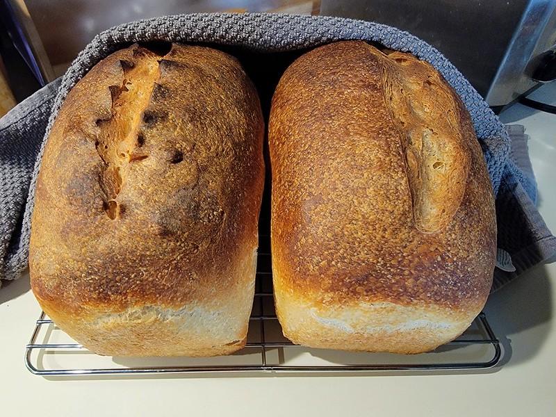 A pair of golden loaves of bread cooling on a wire rack. A clean dish towel keeps them cozy while they cool. Fresh from the oven, they haven't started crackling yet.