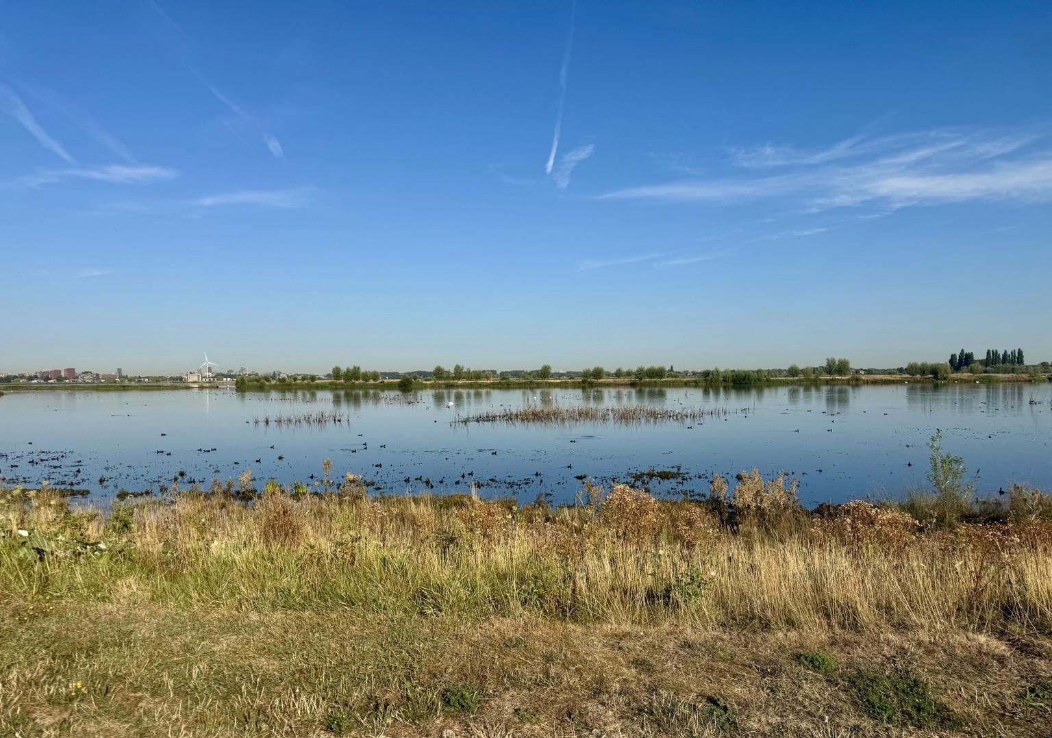 Vogelplas in de Driemanspolder