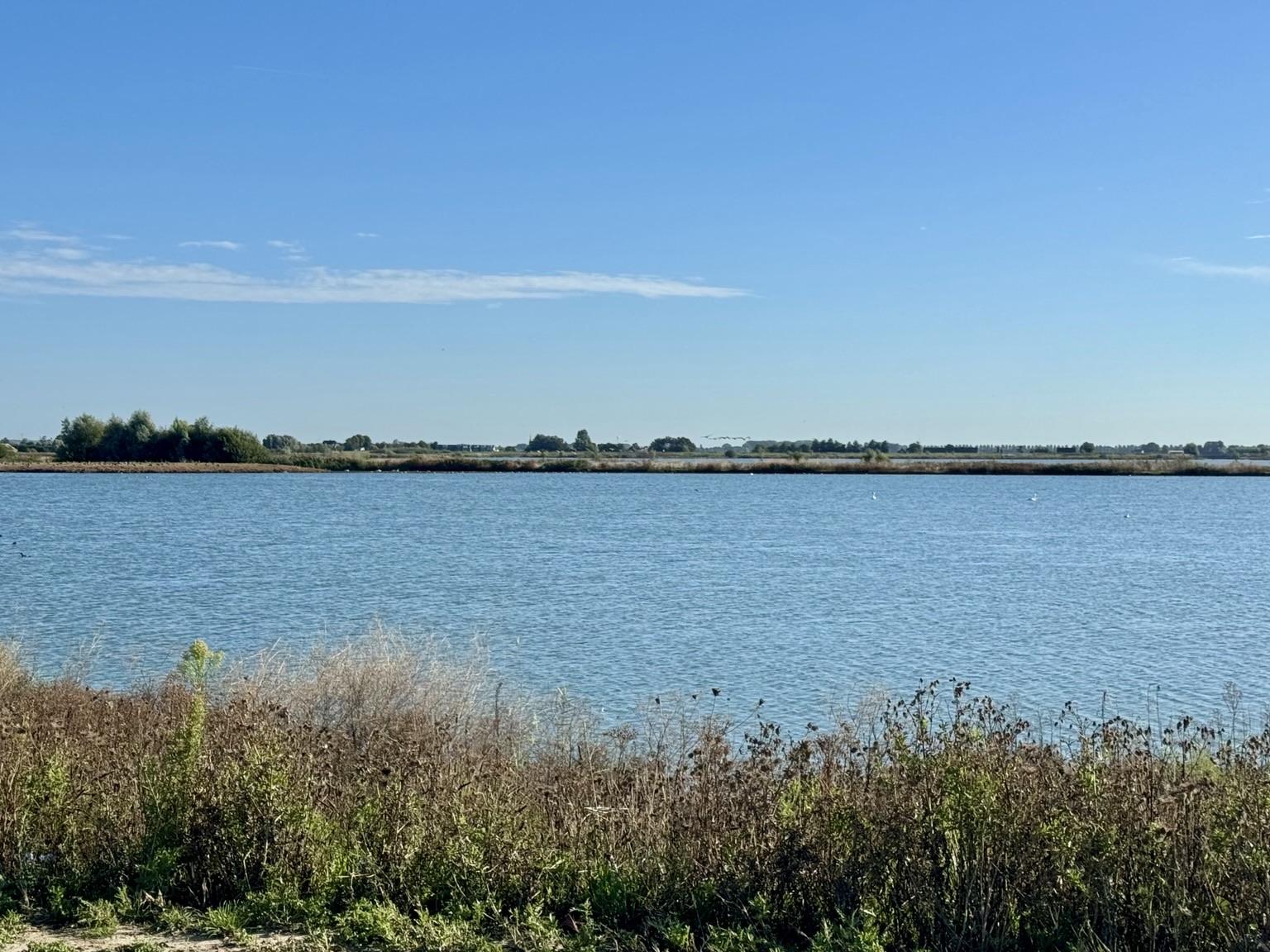 Het water in de Driemanspolder is weer op peil